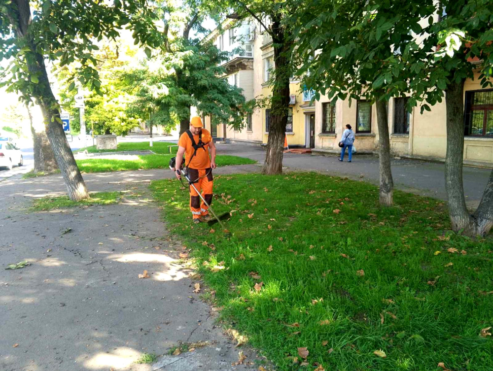 1068 image for slide