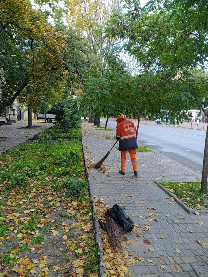 1119 image for slide