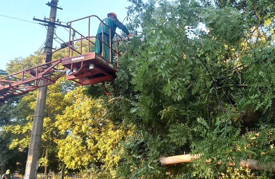 7156 image for slide