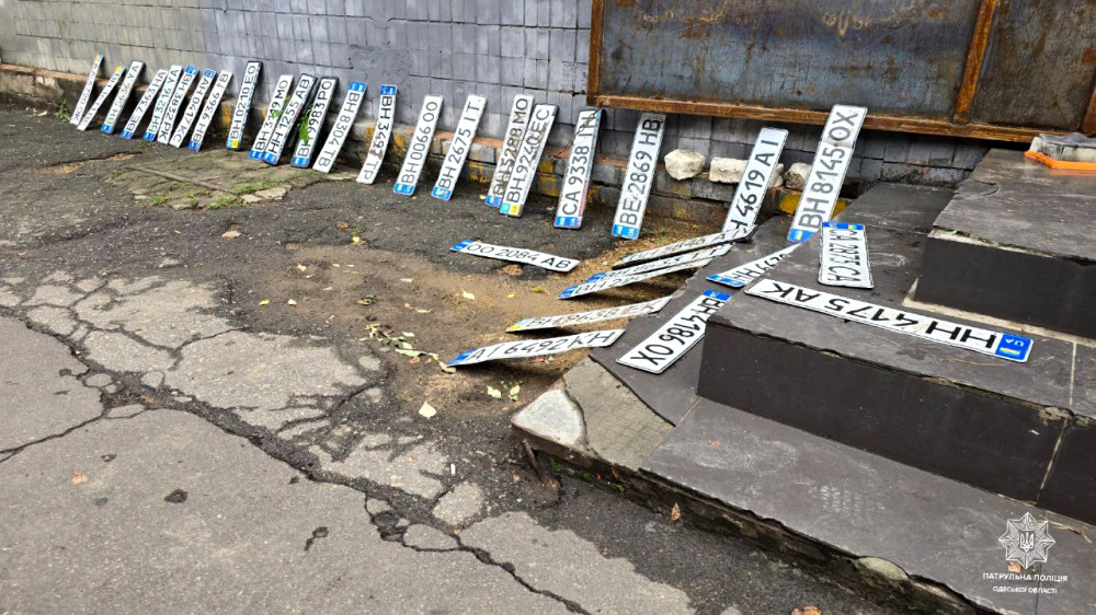 8298 image for slide